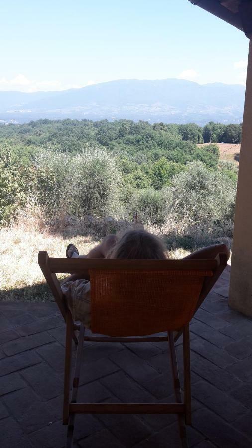 Bioagriturismo Poderaccio Инчиза-ин-Валь-д'Арно Экстерьер фото