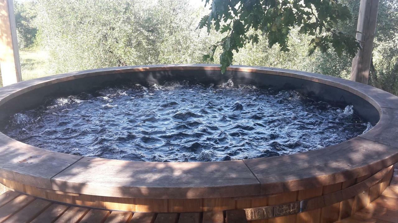 Bioagriturismo Poderaccio Инчиза-ин-Валь-д'Арно Экстерьер фото