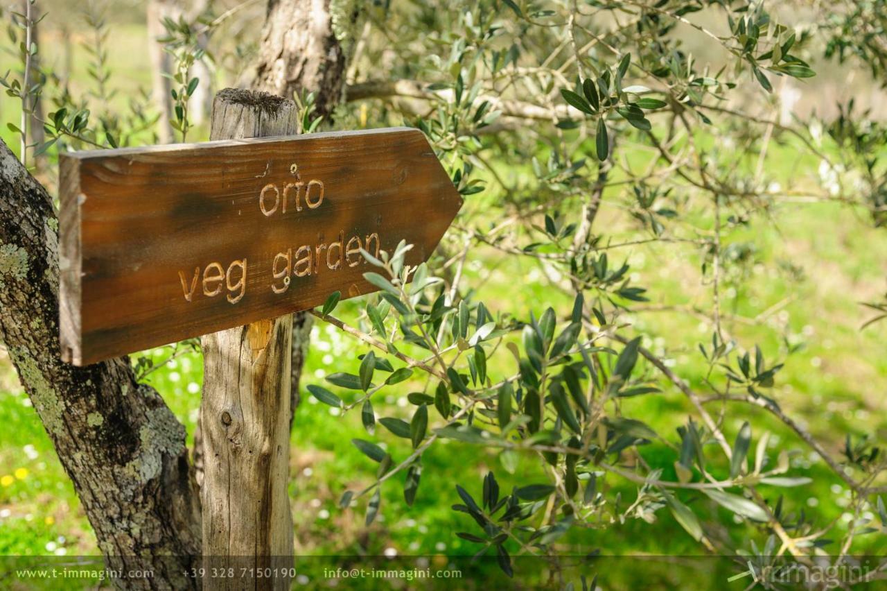 Bioagriturismo Poderaccio Инчиза-ин-Валь-д'Арно Экстерьер фото